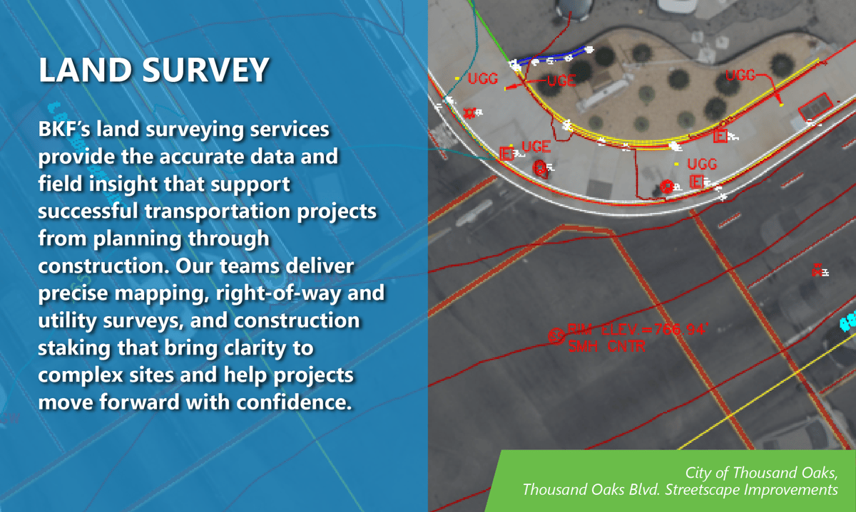 Graphic_Survey Header-2