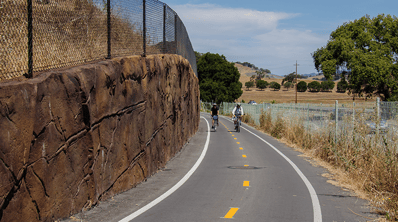 Marin-Narrows